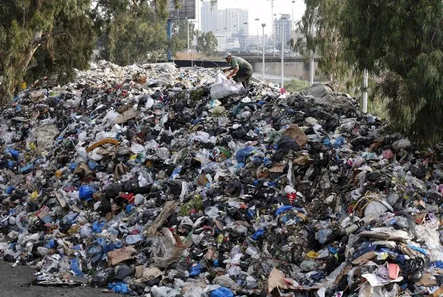 A scavenger sifts through garbage piled on the bank of Beirut river, Lebanon August 24, 2015. Lebanese protest organisers called for a fresh demonstration against the government on Saturday after two days of rallies that turned violent in central Beirut and wounded scores of people. (Photo by Mohamed Azakir/Reuters)