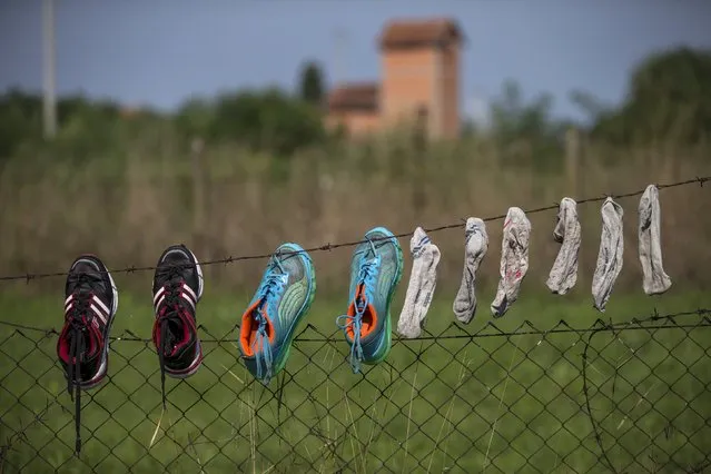 Shoes and socks belonging to Syrian migrants are hung to dry near the Serbian border with Hungary, near the village of Horgos August 27, 2015. (Photo by Marko Djurica/Reuters)