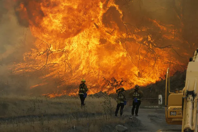 A hillside erupts in flame as a raging wildfire fire burns in Placerita Canyon in Santa Clarita, Calif., Monday, July 25, 2016. A raging wildfire that forced thousands from their homes on the edge of Los Angeles continued to burn out of control Monday as frustrated fire officials said residents reluctant to heed evacuation orders made conditions more dangerous and destructive for their neighbors. (Photo by Nick Ut/AP Photo)