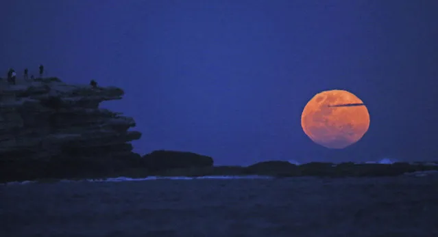 The moon rises with an orange glow as people watch from a rock cliff at Bondi Beach in Sydney, Tuesday, Sept. 9, 2014. The supermoon, known to scientists as a pedigree moon, occurs when Earth's neighbor appears at its largest and brightest compared to other full moons when it orbits closer to our planet. (Photo by Rick Rycroft/AP Photo)
