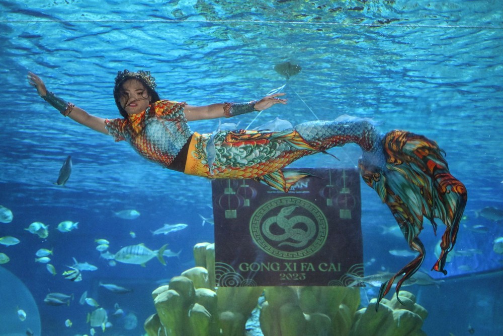 Philippine Daily Life