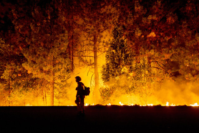A firefighter battling the King Fire watches as a backfire burns along Highway 50 in Fresh Pond, California September 16, 2014. (Photo by Noah Berger/Reuters)