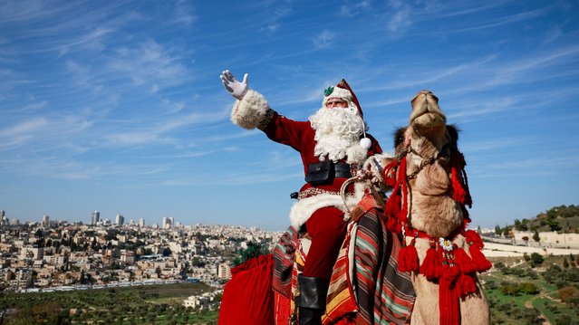 Issa Kassissieh, dressed as Santa Claus, sits astride a camel as he visits an olive grove overlooking the Dome of the Rock on Al-Aqsa compound, also known to Jews as the Temple Mount, in Jerusalem on December 4, 2023. (Photo by Ammar Awad/Reuters)