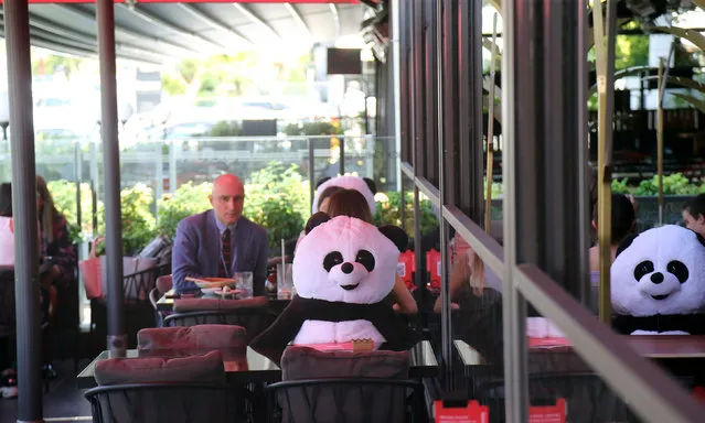 Panda dolls are used to help customers practice social distancing while dining in a restaurant in Ankara, Turkey, on July 1, 2020. Turkey's COVID-19 cases increased by 1,192 on Wednesday, raising the total number in the country to 201,098, according to Turkish Health Minister Fahrettin Koca. (Photo by Chine Nouvelle/SIPA Press/Rex Features/Shutterstock)