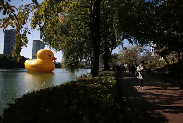 A woman takes a walk as the giant inflatable Rubber Duck installation by Dutch artist Florentijn Hofman floats in Seokchon Lake as part of promotional events for the Lotte World Tower in Seoul October 14, 2014. (Photo by Kim Hong-Ji/Reuters)