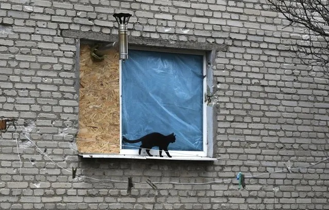 A cat walks on the windowsill with stove pipe sticking out of boarded window in an apartment building in Lyman, Donetsk region, Ukraine, Sunday, November 20, 2022. The situation in Ukraine's capital, Kyiv, and other major cities has deteriorated drastically following the largest missile attack on the country's power grid on Tuesday, Nov. 15, 2022. Ukrainian state-owned grid operator Ukrenergo reported that 40% of Ukrainians were experiencing difficulties, due to damage to at least 15 major energy hubs across the country. (Photo by Andrew Kravchenko/AP Photo)