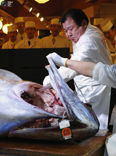 President of sushi restaurant chain Sushi-Zanmai, Kiyoshi Kimura, displays a 222kg bluefin tuna at his main restaurant near Tokyo's Tsukiji fish market on January 5, 2013. The bluefin tuna was traded at 155.4 million yen (1.77 million USD) at the wholesale market, smashing a previous record. (Photo by Yoshikazu Tsuno/AFP Photo)