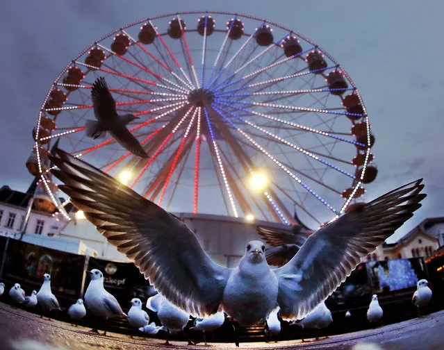 A seagull sits in front of a ferris wheel at the Christmas market in Schwerin, Germany, Wednesday, December 27, 2017. (Photo by Michael Probst/AP Photo)