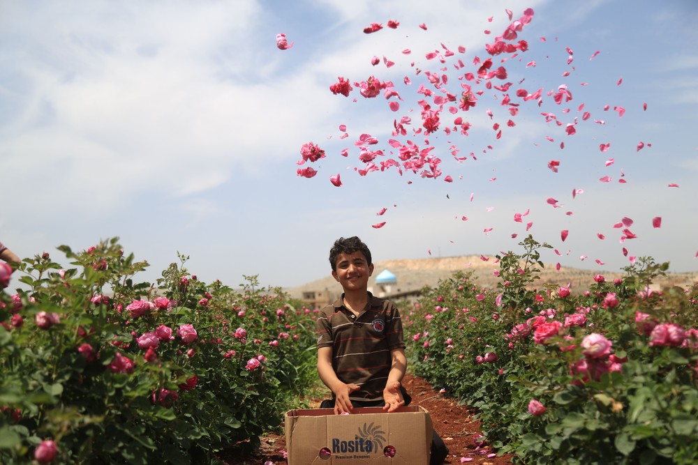 Some Photos: Children