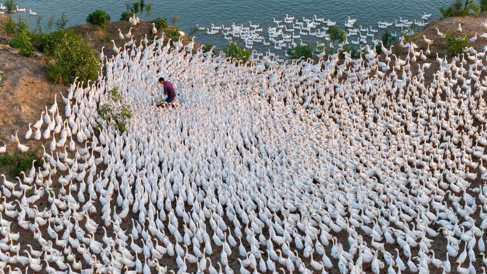 A Look at Life in China