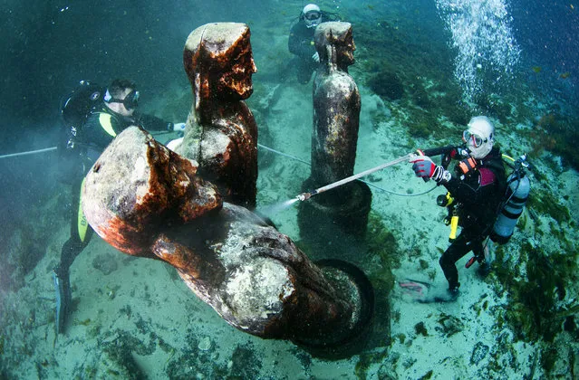 In this November 22, 2014 photo, Dr. Joe Wallace, right, uses a pressure washer to cut years of algae growth off the Eye Spy statues at Silver Springs State Park in Ocala, Fla. The newly formed Silver Springs professional dive team made its first dive to clean the bottom of the park's glass-bottom boats and pressure wash years of algae from iconic statues left behind from a production of the television series “I Spy” during the 1960s. (Photo by Alan Youngblood/AP Photo/The Ocala Star-Banner)