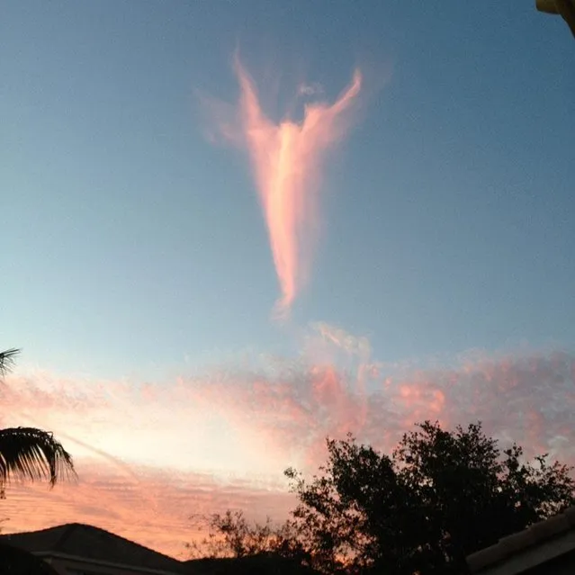 A “cloud angel” rose over South Florida on the day that a new pope was named at the Vatican – resulting in snapshots and comments that multiplied like the biblical loaves and fishes. But experts say Wednesday evening's apparition is no supernatural miracle. Rather, it's a perfectly natural phenomenon that took on special meaning because of Pope Francis' selection. (Photo by WPTV YouReport)