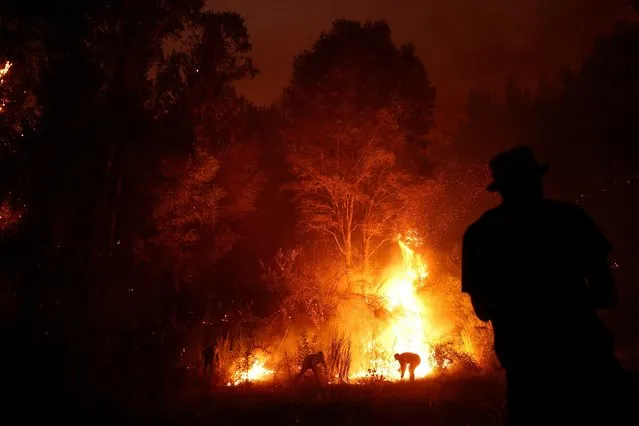 A wildfire burns areas in Nacimiento, Chile on February 7, 2023. (Photo by Ivan Alvarado/Reuters)