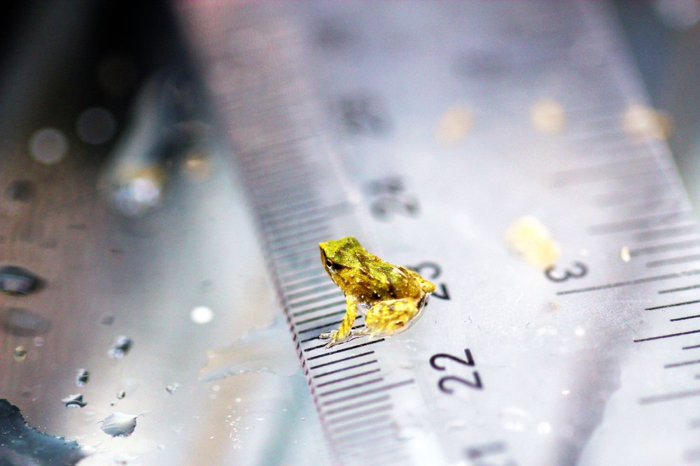 Some Photos: Animals