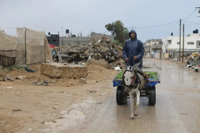 A Palestinian man rides a donkey cart on a rainy day in Khan Younis in the southern Gaza Strip October 25, 2015. (Photo by Ibraheem Abu Mustafa/Reuters)
