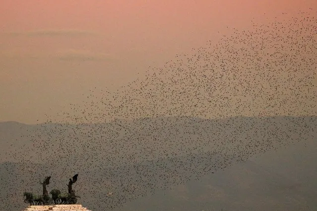 Murmuration of starlings float over the Vittoriano monument as the sun sets in Rome, Italy, November 18, 2020. (Photo by Guglielmo Mangiapane/Reuters)