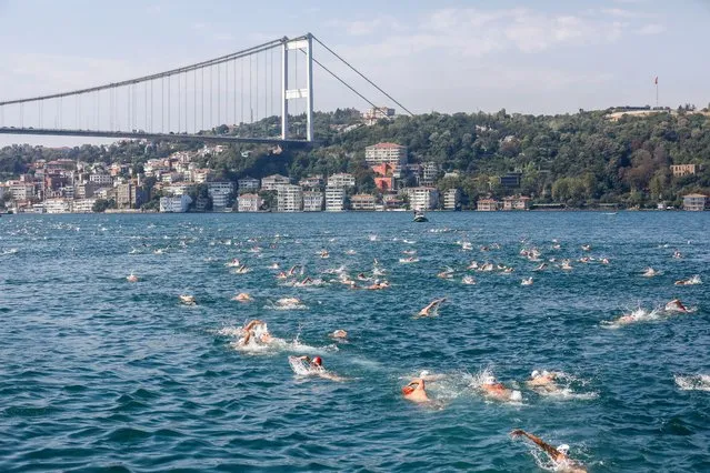 35th Samsung Bosphorus Intercontinental Swimming Race takes place on August 20, 2023 in Istanbul, Turkey. Organized by the Turkish National Olympic Committee, a total of 2641 athletes from 78 countries registered to participate in the event. Swimmers swam 6.5 kilometers from Kanlıca to Kuruçeşme. (Photo by Ozan Guzelce/dia images via Getty Images)