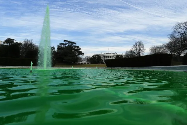 The water in the fountain on the South Lawn of the White House flows green in celebration of St. Patrick's Day in Washington, March 17 2015. Later in the morning, U.S. President Barack Obama will welcome Ireland's Prime Minister Enda Kenny to the Oval Office for a St. Patrick's Day visit. (Photo by Jonathan Ernst/Reuters)