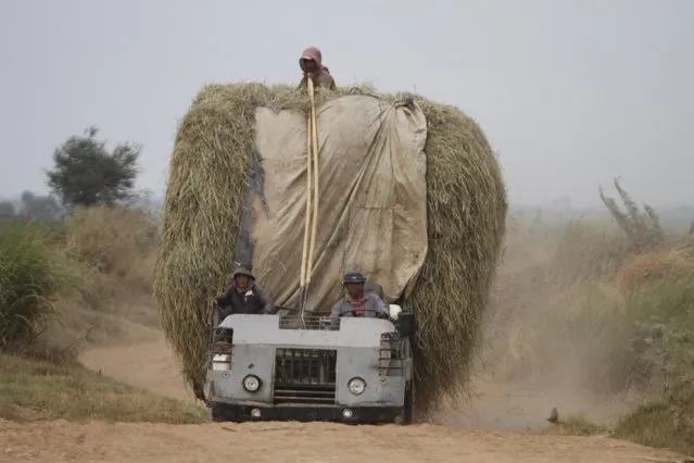 Cambodian farmers transport hay by using their homemade truck at a remote rural area near the Mekong river of Russey Chroy village, Kandal province, north of Phnom Penh, Cambodia, Tuesday, March 31, 2015. (Photo by Heng Sinith/AP Photo)