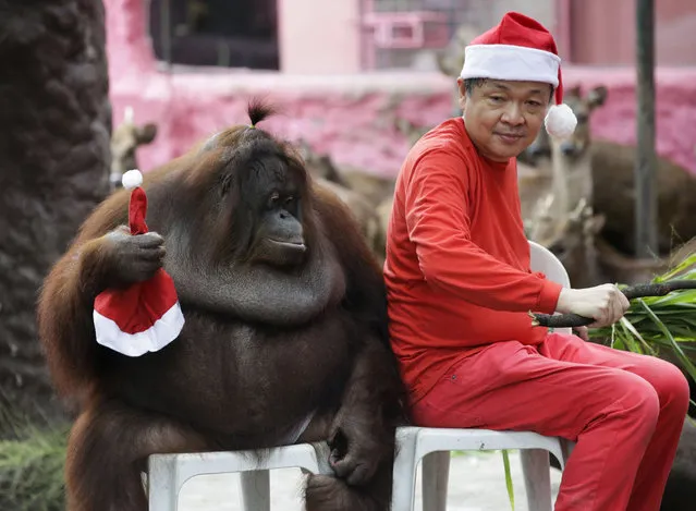 In this Friday, December 21, 2018, file photo, zoo owner Manny Tangco sits beside an orangutan named “Pacquiao” while wearing Santa Claus hats as part of their Christmas presentation at the Malabon Zoo in Manila, Philippines. Filipinos prepare to celebrate Christmas day, one of the most important holidays in this predominantly Roman Catholic nation. (Photo by Aaron Favila/AP Photo)