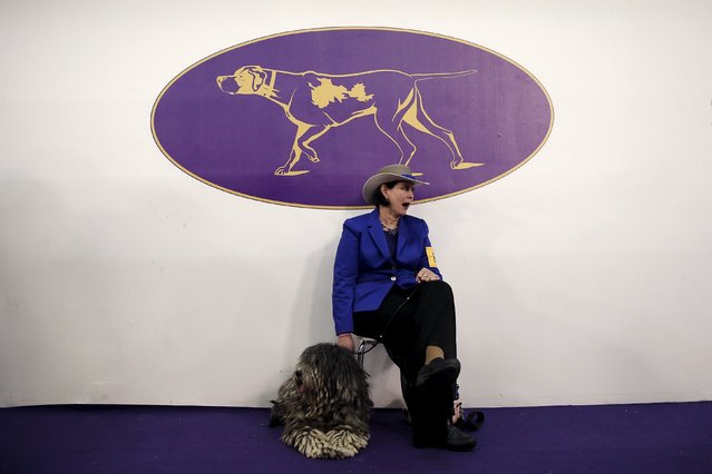 Handler Jane Hobson sits with Woopi, a Bergamasco, one of the seven new breeds being judged at the 2016 Westminster Kennel Club Dog Show in the Manhattan borough of New York City, February 15, 2016. (Photo by Mike Segar/Reuters)