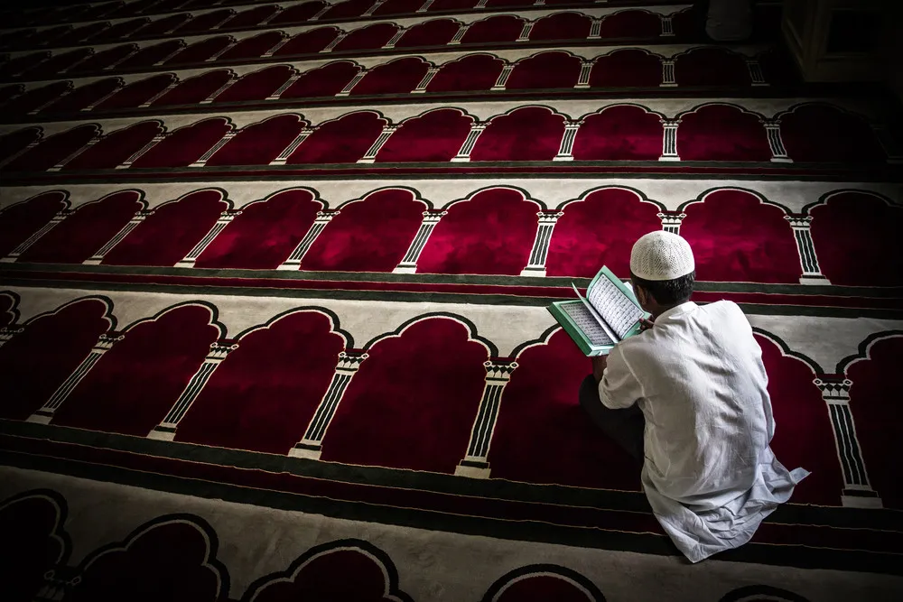 Smithsonian.com 13th Annual Photo Contest