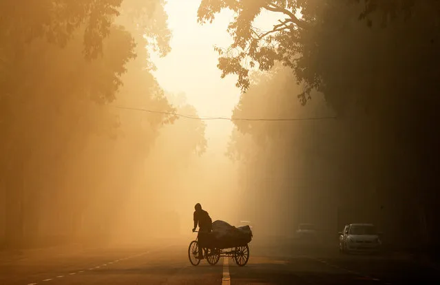 A man rides a rickshaw on a smoggy morning in New Delhi, India, December 26, 2018. (Photo by Adnan Abidi/Reuters)