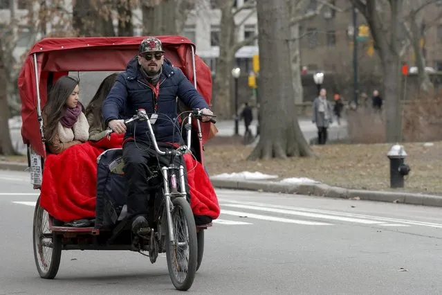 A pedicab drives through Central Park in the Manhattan borough in New York, February 4, 2016. (Photo by Brendan McDermid/Reuters)