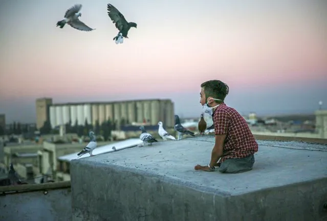 19-year-old Syrian Ahmed Deyyoub is seen looking on to birds on the roof in Idlib, Syria on October 14, 2021. In Idlib province in northwest Syria, Ahmed Deyyoub, who was born without two legs and makes a living for his 73-year-old grandfather, dreams of walking to the sewing workshop where he travels 7 kilometers every day in his wheelchair. The most tiring situation for him, who was born with only a few inches of legs, is trying to move on his hands. Ahmed Deyyoub, who does not give up hope for life, dreams of getting prosthetic legs and walking to work. (Photo by Muhammed Said/Anadolu Agency via Getty Images)