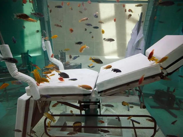 “'Lost love” a creation by artist Damien Hirst is displayed at the Prada foundation art exhibitions space in Milan, Italy, Friday, May 8, 2015. The Prada Foundation is opening a new exhibit space designed by architect Rem Koolhaas with a bar created by director Wes Anderson, whose unique stylistic vision has come through in such films as “The Grand Budapest Hotel” and “Moonrise Kingdom”. (Photo by Luca Bruno/AP Photo)