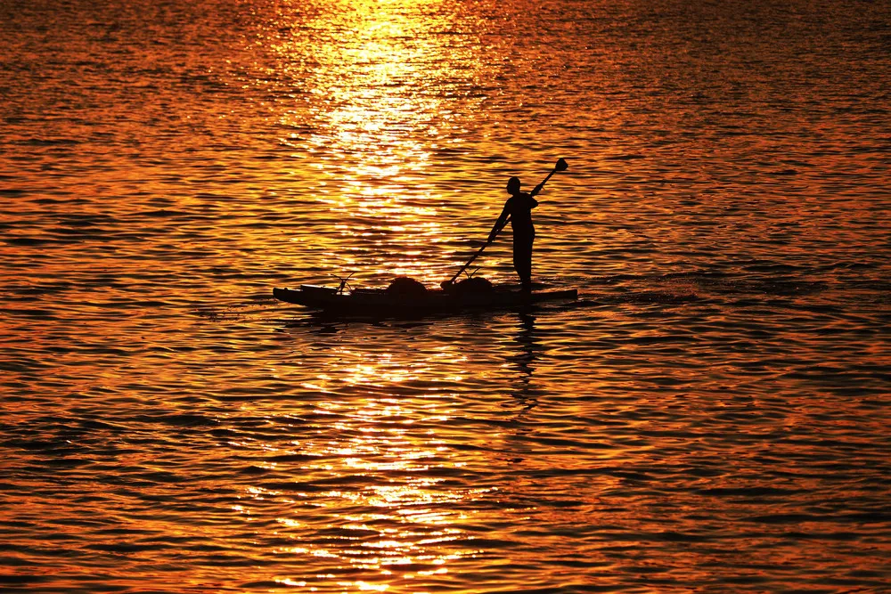 Palestinians Daily Life