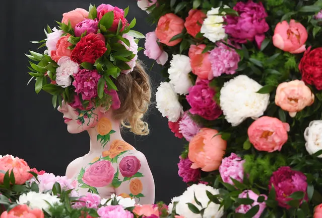 A model poses for photographers next to a floral display during the press day for the RHS Chelsea Flower Show in London, Britain, 20 May 2019. The RHS Chelsea Flower Show is a garden show held for five days by the Royal Horticultural Society in the grounds of the Royal Hospital Chelsea. It has been held since 1912 and runs this year from 21 May to 25 May. (Photo by Facundo Arrizabalaga/EPA/EFE)