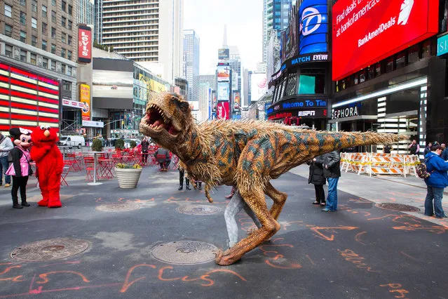 This image released by Boneau/Bryan-Brown shows two people in costume as Minnie Mouse, left, and Elmo, looking at a man in a Tyrannosaurus Rex costume in Times Square, Thursday, March 20, 2014 in New York to promote the “Walking with Dinosaurs, the Arena Spectacular”. The show  is coming back to the U.S. and Canada – its first visit to North America since its inaugural 2007 tour – and many of its lifelike puppets will be wearing downy feathers, reflecting recent discoveries. (Photo by Kevin Thomas Garcia/AP Photo/Boneau)