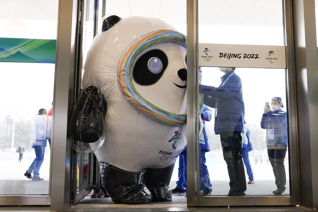 A staff member dressed up as Beijing 2022 Winter Olympics mascot Bing Dwen Dwen attempts to enter a door at the Main Media Center on January 24, 2022 in Beijing, China. The Beijing 2022 Winter Olympics are set to open February 4th. (Photo by Lintao Zhang/Getty Images)