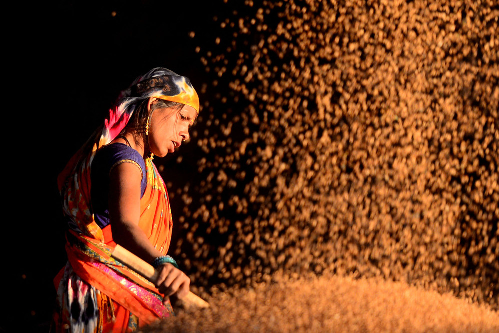 A Look at Life in India