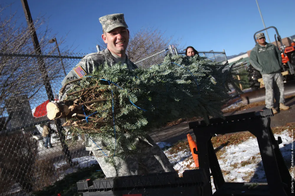 Military Families Receive Free Christmas Trees At Fort Carson