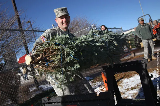 U.S. Army soldiers carry off free Christmas trees