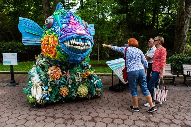 Visitors at the National Zoo check out a parrotfish made from found waste from the ocean in Washington, DC on May 23, 2016. The artwork can be seen at the National Zoo until September 5th. (Photo by Keith Lane/The Washington Post)