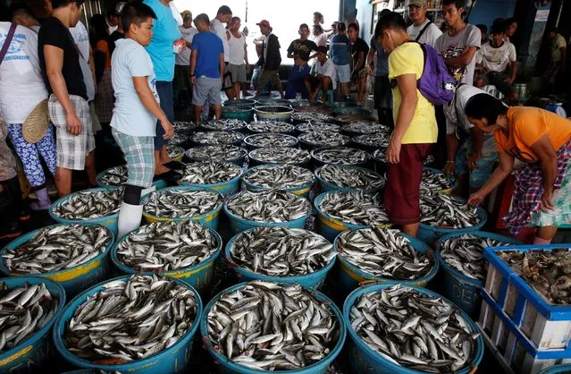 Vendors display their fish at a wholesale market at Navotas Fish Port in Navotas, Metro Manila, Philippines May 21, 2016. (Photo by Erik De Castro/Reuters)