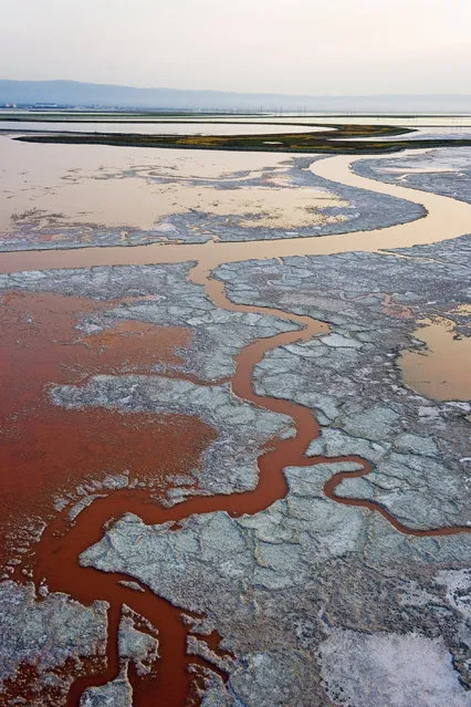 Aerial view of the salt ponds in San Francisco, California. (Photo by Cris Benton/Caters News)