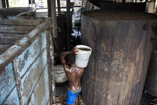 In this June 16, 2017 photo, Gabriel Shnaider, 22, carries a bucket of sugar cane juice to a large container where it will be fermented at the Ti Jean distillery where the sugar-based alcoholic spirit clairin is produced in Leogane, Haiti. Clairin, or kleren as it’s known in Haitian Creole, is less refined than rum and typically not aged, though some artisanal varieties are subjected to an aging process to give them a more mellow and distinctive flavor. (Photo by Dieu Nalio Chery/AP Photo)