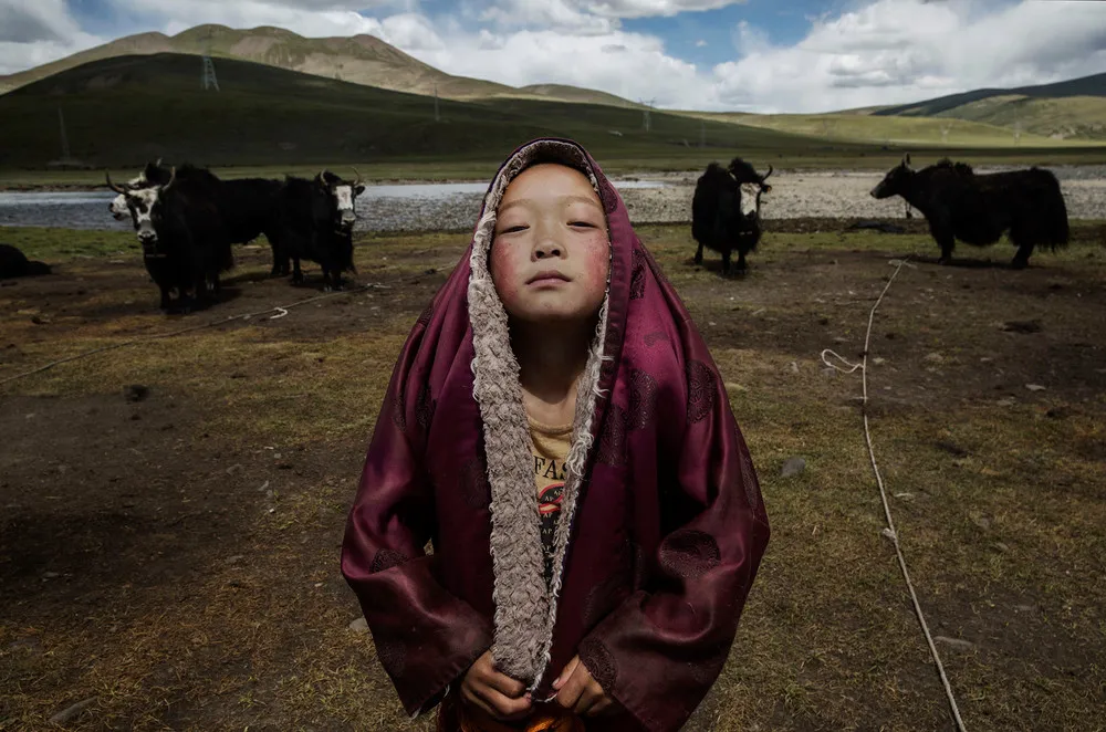 Tibetan Nomads