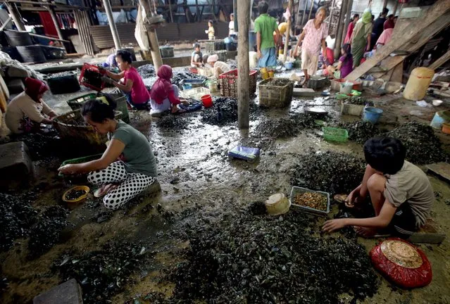 Indonesian workers peel green mussels in Jakarta, Indonesia, 20 May 2016. According to Central Statistics Agency (BPS), Indonesia's inflation rate in April was the lowest rate this years. Indonesian inflation rate recorded at 3.78 percent in April, while March's rate was 4.45 percent. Indonesia's central bank targets inflation at 3-5 percent this year. (Photo by Bagus Indahono/EPA)