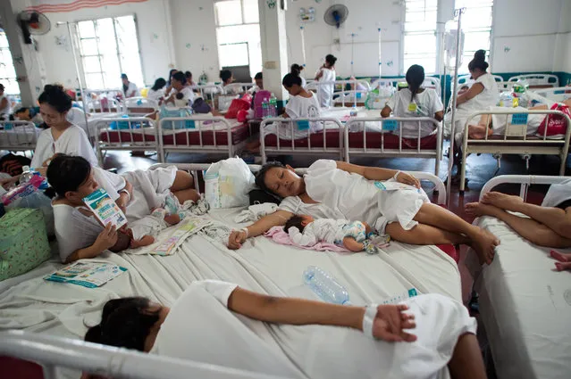 Indigent mothers tend to new born infants at a government run hospital ward on August 11, 2014 in Manila, Philippines. (Photo by Dondi Tawatao/Getty Images)