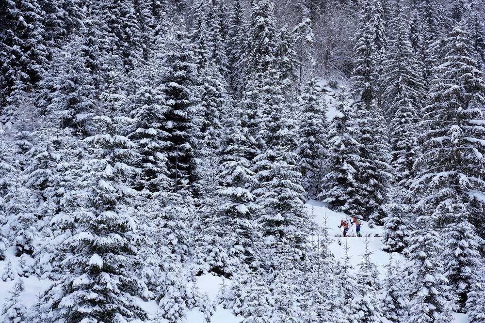 Sport last Week, Part 1/3