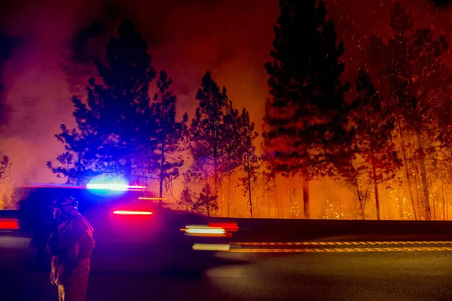 A firefighter battling the King Fire watches as a backfire burns along Highway 50 in Fresh Pond, California September 16, 2014. (Photo by Noah Berger/Reuters)