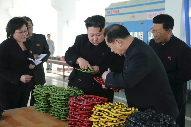 North Korean leader Kim Jong Un (C) provides field guidance to the Ryuwon Shoes Factory in this undated photo released by North Korea's Korean Central News Agency (KCNA) in Pyongyang January 21, 2015. (Photo by Reuters/KCNA)