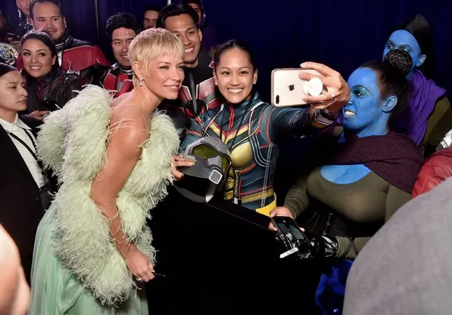 Canadian actress Evangeline Lilly poses with fans for a selfie during the Ant-Man and The Wasp Quantumania world premiere at Regency Village Theatre in Westwood, California on February 06, 2023. (Photo by Alberto E. Rodriguez/Getty Images for Disney)