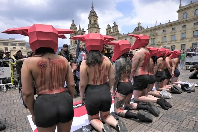 Animal rights activists protest bullfighting outside Congress in Bogota, Colombia, Tuesday, March 28, 2023. The Senate approved a nationwide ban on bullfighting in December 2022 and the House of Representatives, which narrowly voted down an earlier ban in November, could take up the latest legislation being pushed by politicians who argue bullfighting is cruel and unethical. (Photo by Fernando Vergara/AP Photo)