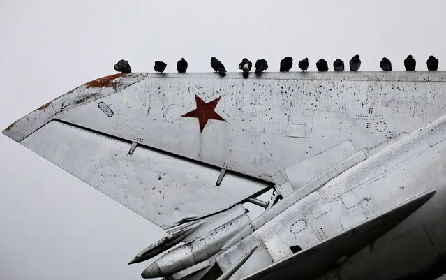 Pigeons sit on a decommissioned fighter plane converted to a monument in the town of Novoalexandrovsk, Stavropol region, Russia on December 18, 2020. (Photo by Eduard Korniyenko/Reuters)